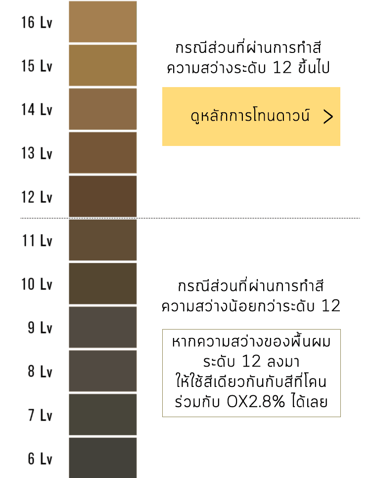 วิธีใช้น้ำยา กรณีส่วนที่ผ่านการทำสีความสว่างระดับ 12 ขึ้นไป