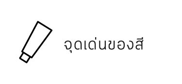 จุดเด่นของสี