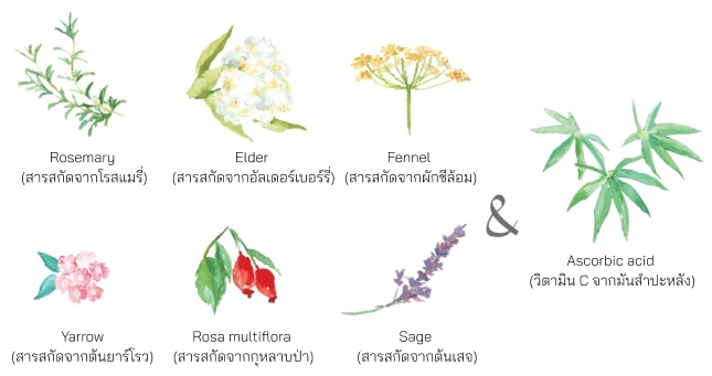 ingredient plants