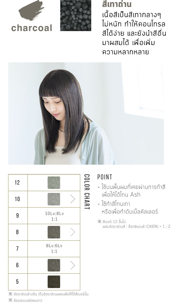 arimino color story admio สีผมสีเทาถ่าน