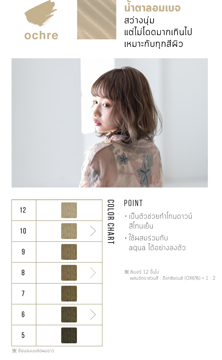 arimino color story admio สีผมน้ำตาลอมเบจ
